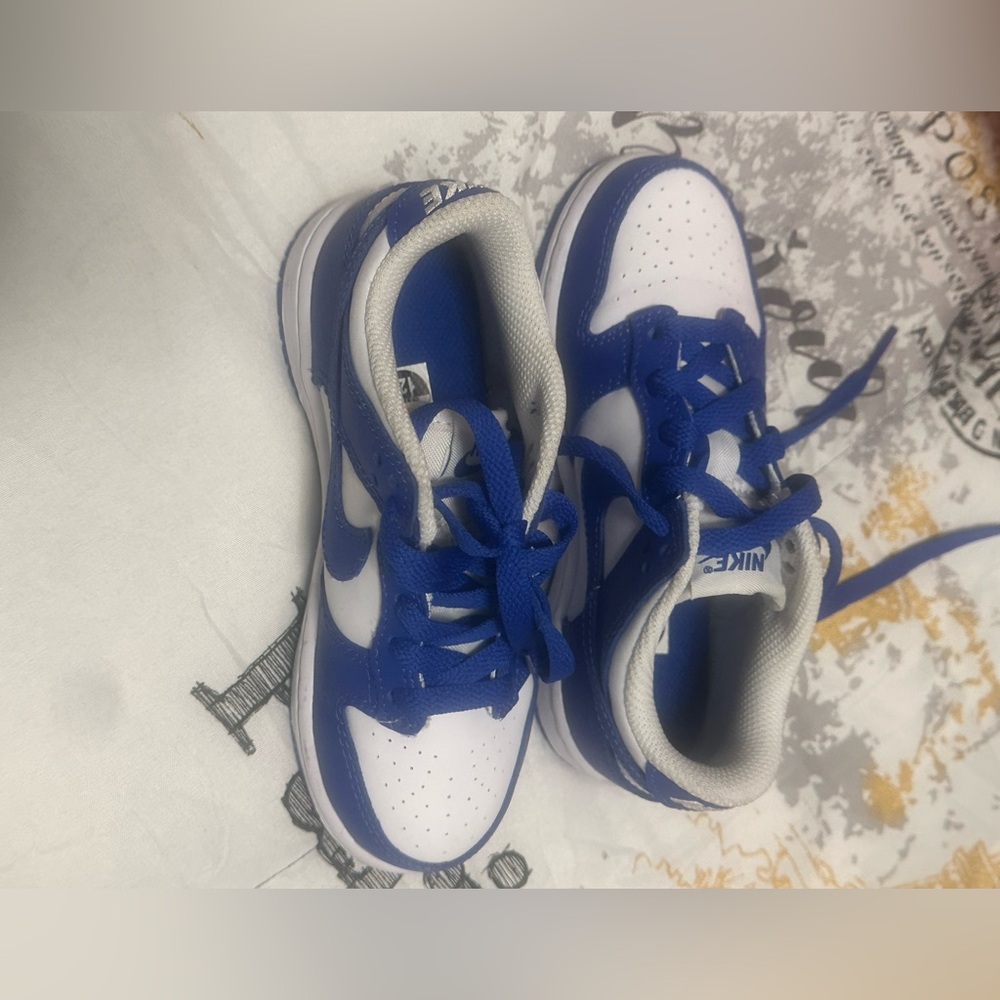 Nike Kids Sneakers in Blue and White Dunks